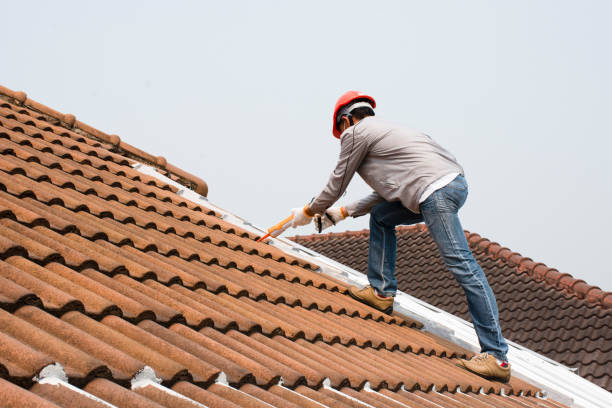 Best Roof Leak Repair  in Sycamore, GA