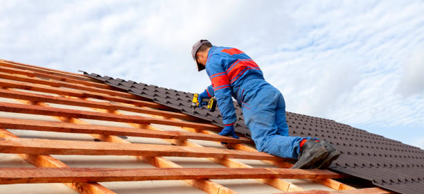 Best Roof Ventilation Installation  in Sycamore, GA